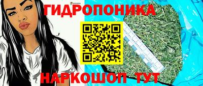 кокс Нарткала