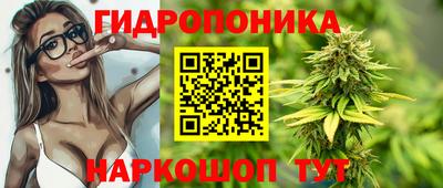 мдпв Нальчик