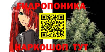 кокс Нарткала