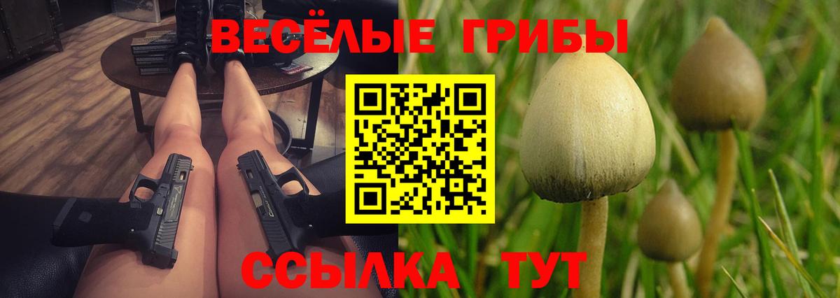 Галлюциногенные грибы Cubensis Севастополь