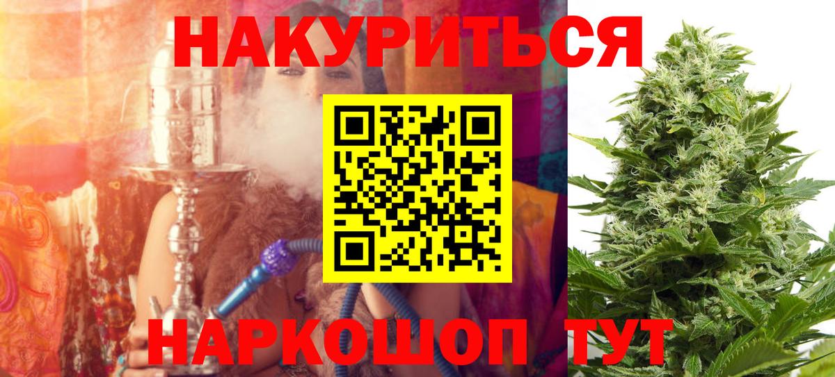 Бошки Шишки план Севастополь